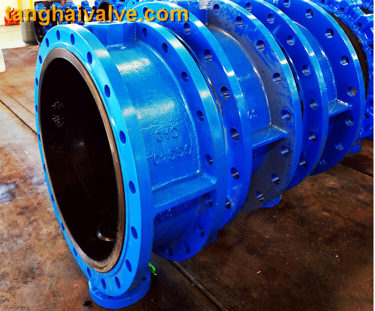 Double flange butterfly valve (1)