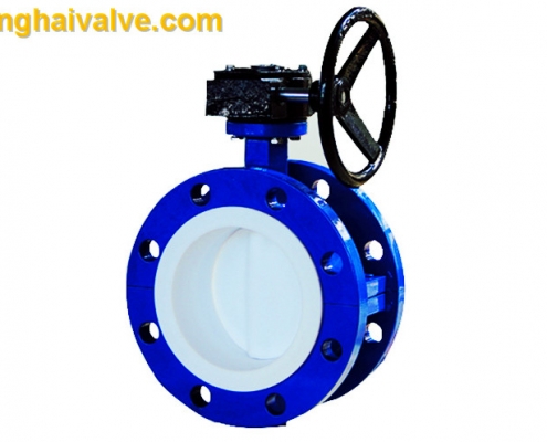 Double flange butterfly valve (10)