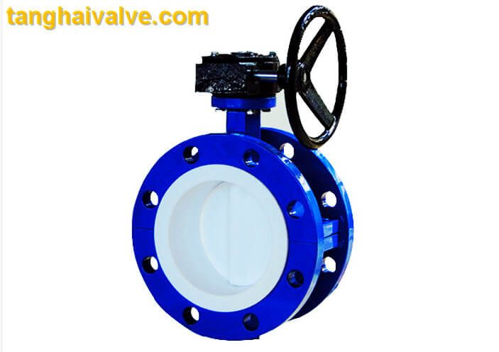 Double flange butterfly valve (10)