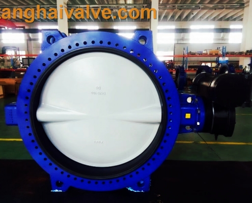 Double flange butterfly valve (14)