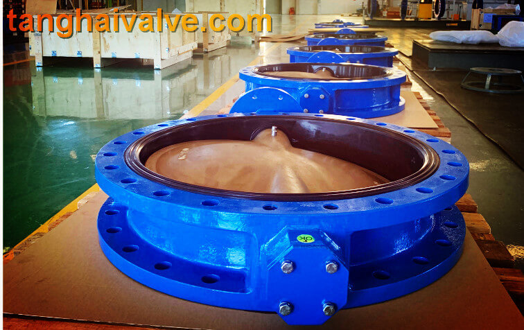 Double flange butterfly valve (16)