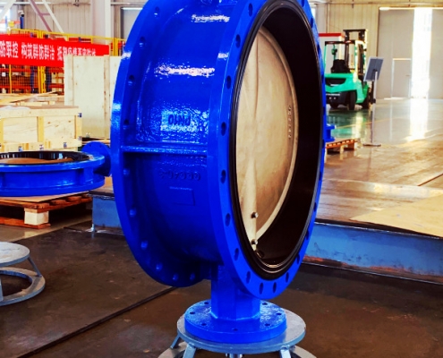 Double flange butterfly valve (2)