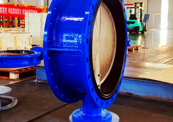 Double flange butterfly valve (2)