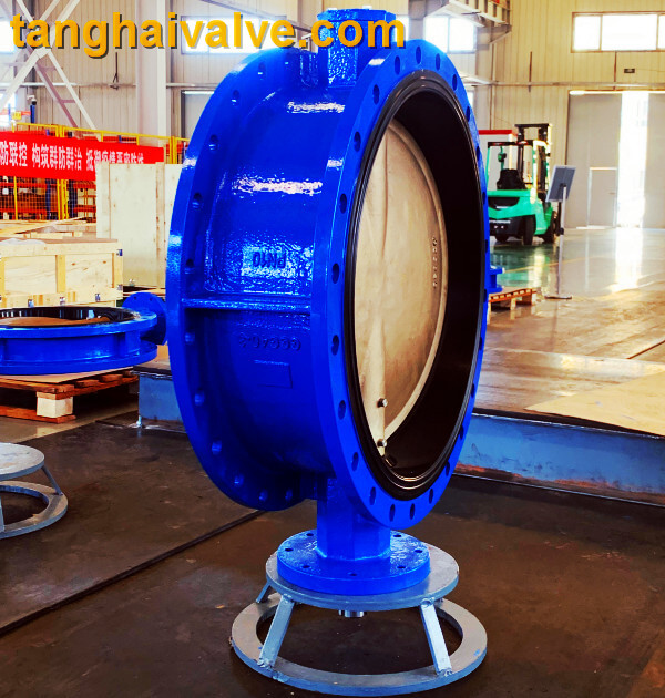 Double flange butterfly valve (2)