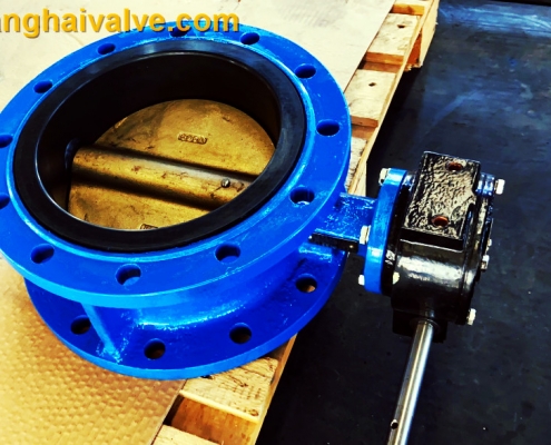 Double flange butterfly valve (3)