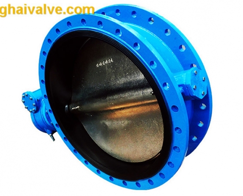 Double flange butterfly valve (4)