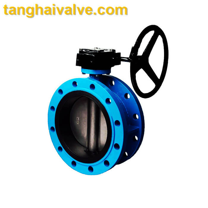 Double flange butterfly valve (7)