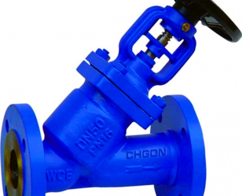 Globe valve (1)