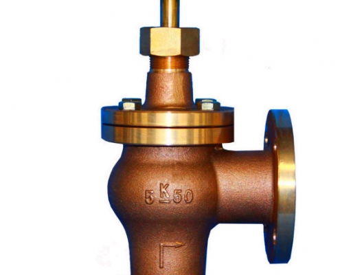 Globe valve (2)