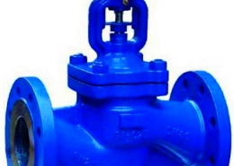 Globe valve (3)