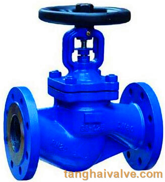 Globe valve (3)