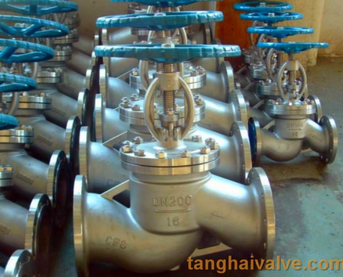 Globe valve (4)