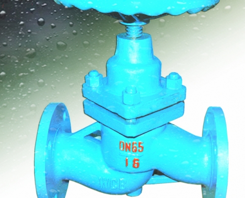 Globe valve (6)