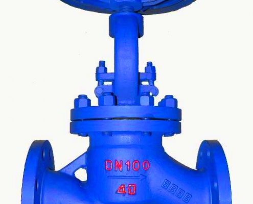 Globe valve (7)