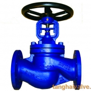 Globe valve (9)