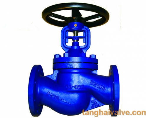 Globe valve (9)