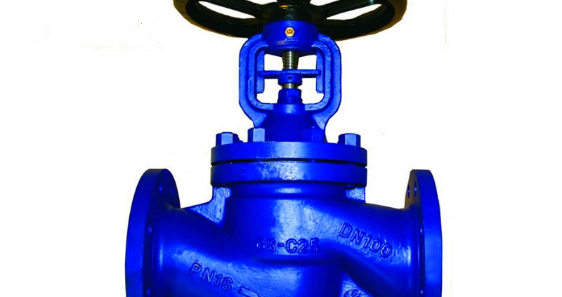 Globe valve (9)