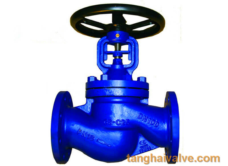 Globe valve (9)