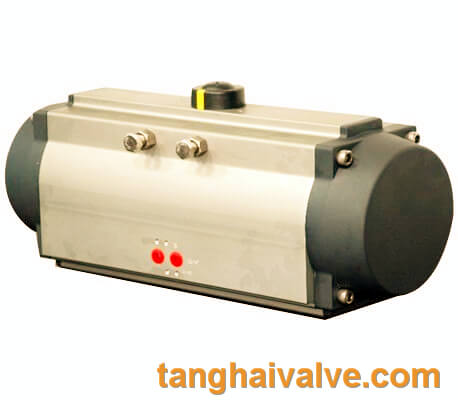 Pneumatic actuator (2)