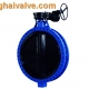 U type flange butterfly valve (11)