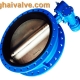 U type flange butterfly valve (6)