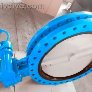 U type flange butterfly valve (8)