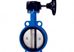 Wafer type butterfly valve with worm gear