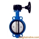 Wafer type butterfly valve with worm gear