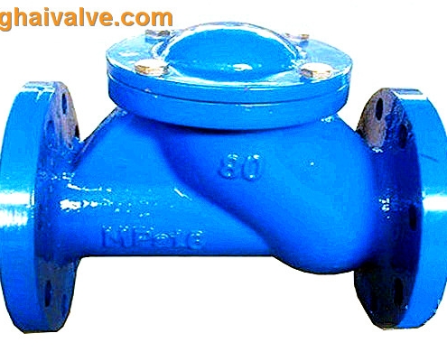 ball check valve (1)