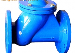 ball check valve (2)