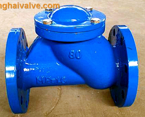 ball check valve (4)