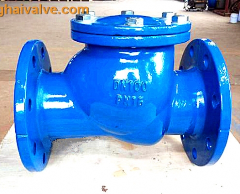 ball check valve (5)