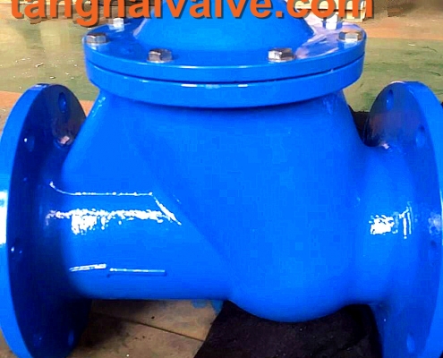 ball check valve (8)