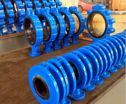 butterfly valve body (2)