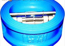 double door check valve