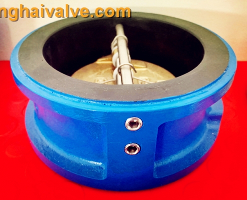 double wing check valve (6)