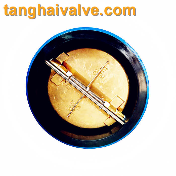 dual plate wafer type check valve (1)