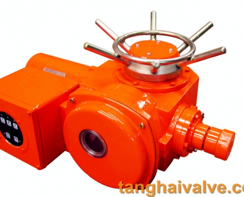 electric actuator for valve