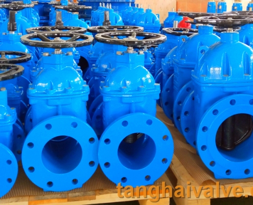 gate valve (1)