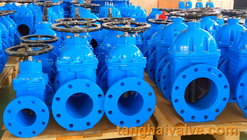 gate valve (1)