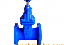 gate valve