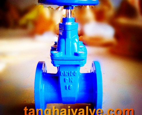 gate valve (3)