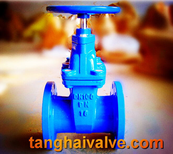 gate valve (3)