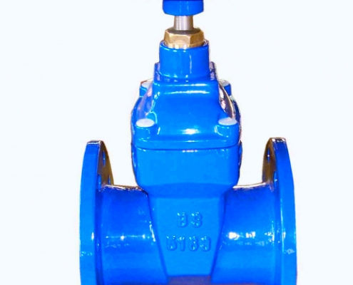 gate valve (5)