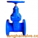 gate valve
