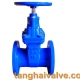 gate valve