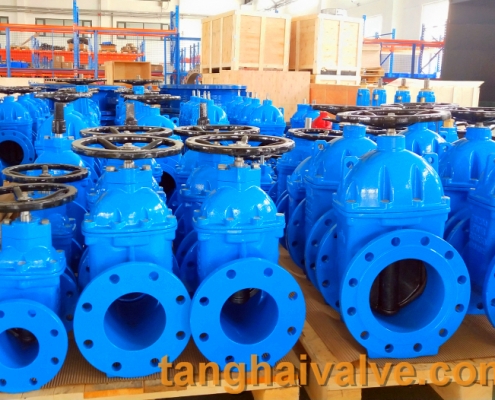 gate valve body