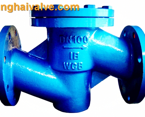 lift swing check valve (2)