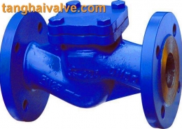 lifting check valve (2)