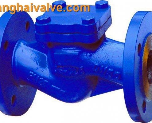 lifting check valve (2)